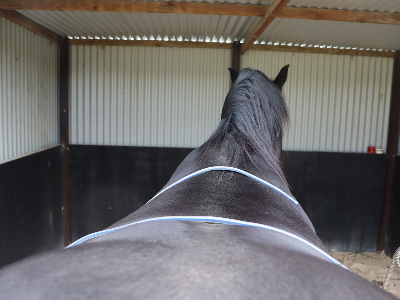 Horse's back angles vs tree shape