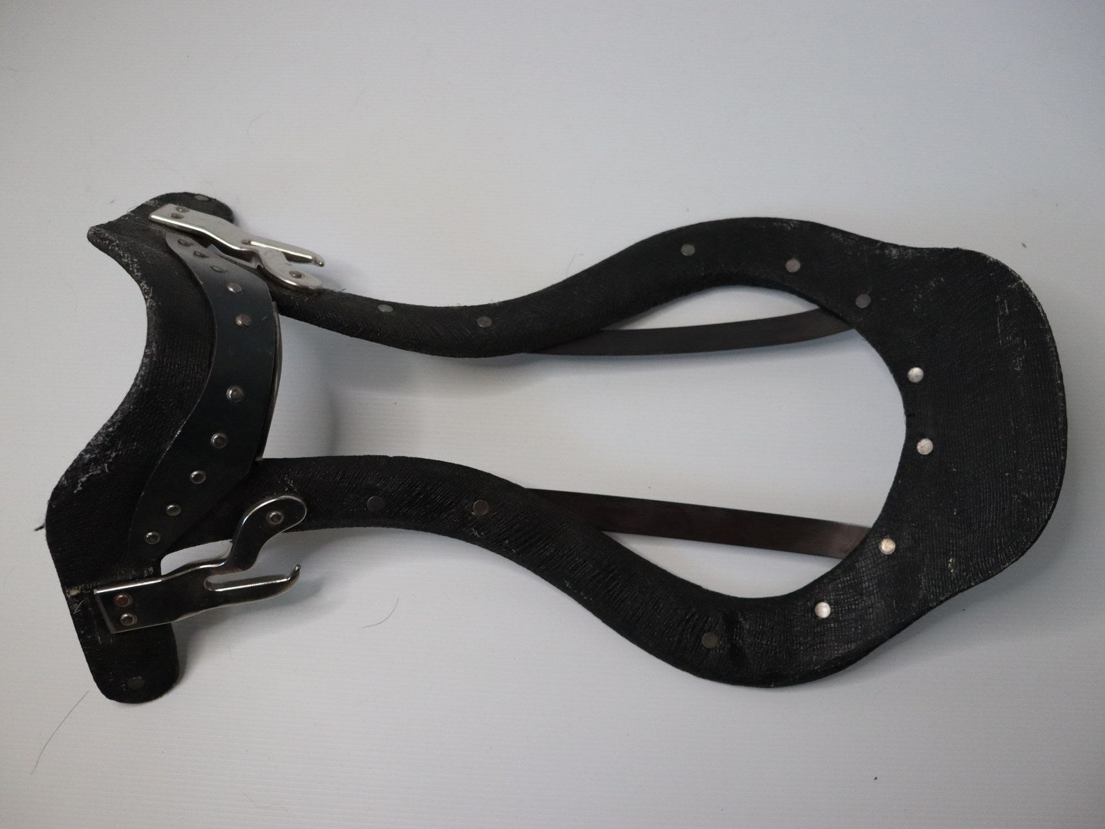 Let's talk about trees!