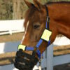Best Friend Muzzle mates for your grazing muzzles CLEARANCE