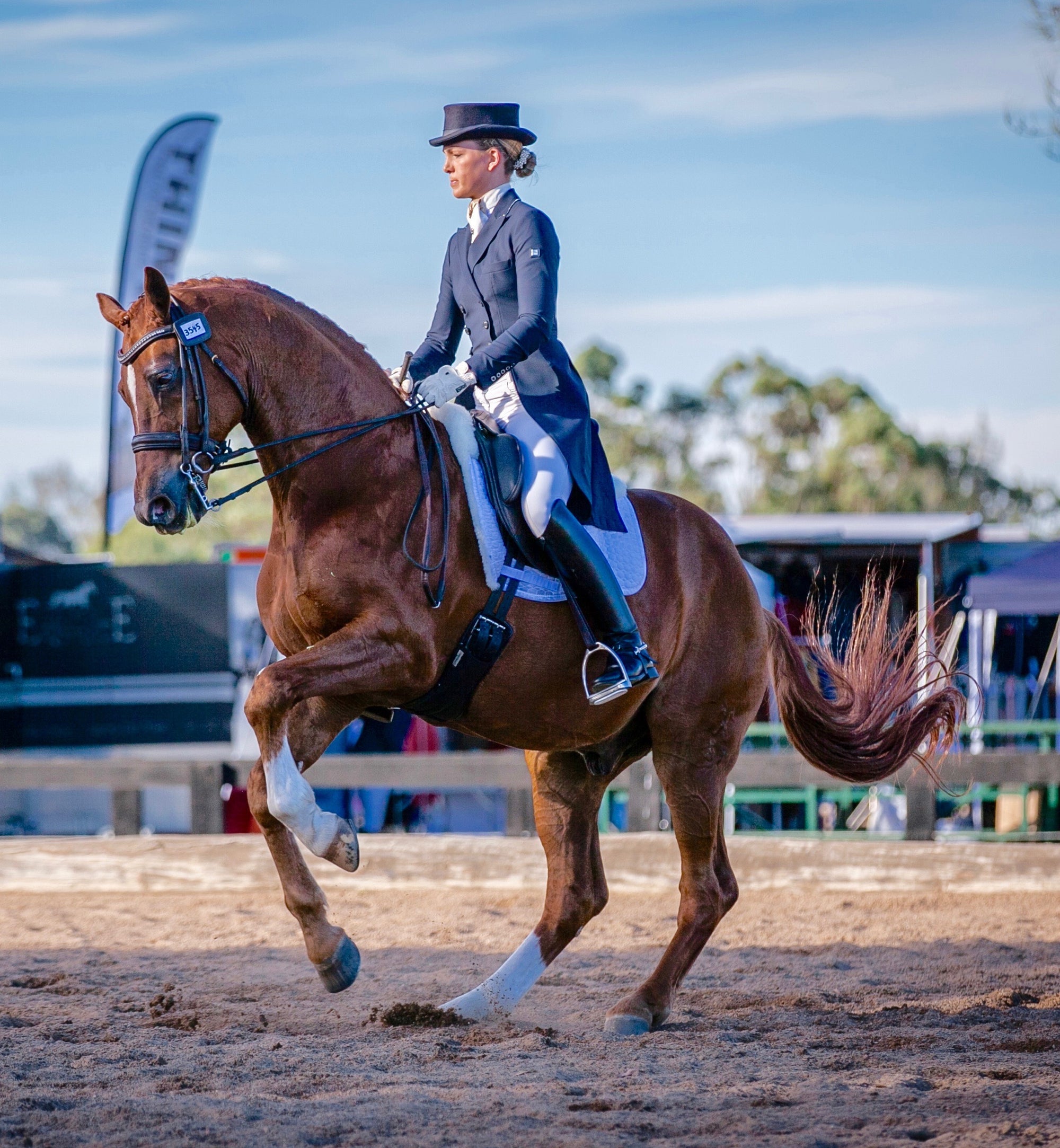 Performance Saddlefits Store-horse tack shop & saddlery for saddle accessories in Australia