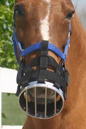 Best Friend cribbing muzzle but free to eat CLEARANCE