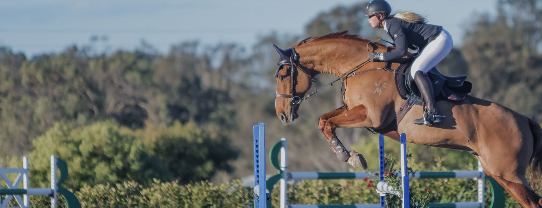 Performance Saddlefits Store-horse tack shop & saddlery for saddle accessories in Australia with your favourite brands - Acavallo, Bliss of London, Erreplus, EA Mattes, LeMieux and Tech 1
