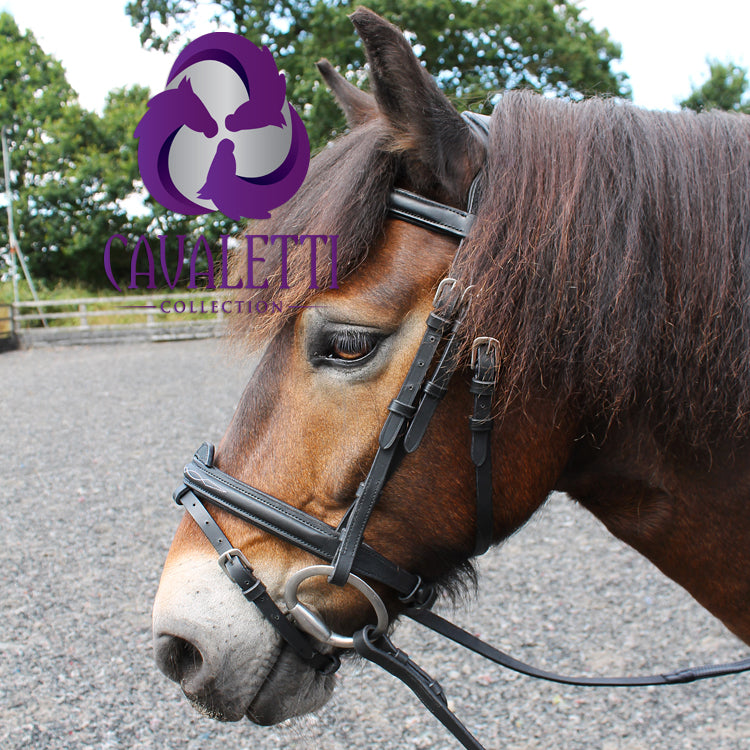Cavaletti Collection Expression leather bridle for horses with ergonomic head piece and convertible nose band-2