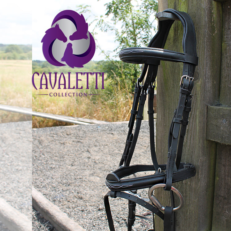 Cavaletti Collection Expression leather bridle for horses with ergonomic head piece and convertible nose band-6