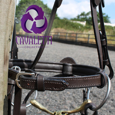 Cavaletti Collection Expression leather bridle for horses with ergonomic head piece and convertible nose band-7