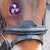 Cavaletti Collection Expression leather bridle for horses with ergonomic head piece and convertible nose band-3