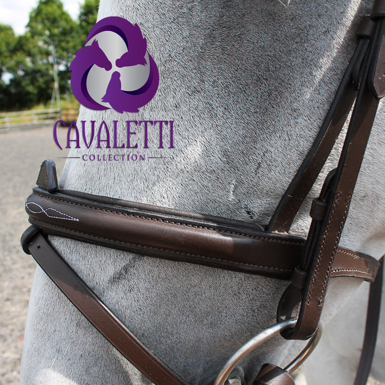 Cavaletti Collection Expression leather bridle for horses with ergonomic head piece and convertible nose band-4