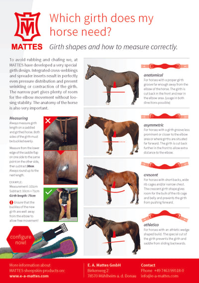 EA Mattes Short Girth - Anatomic (Quilt base)