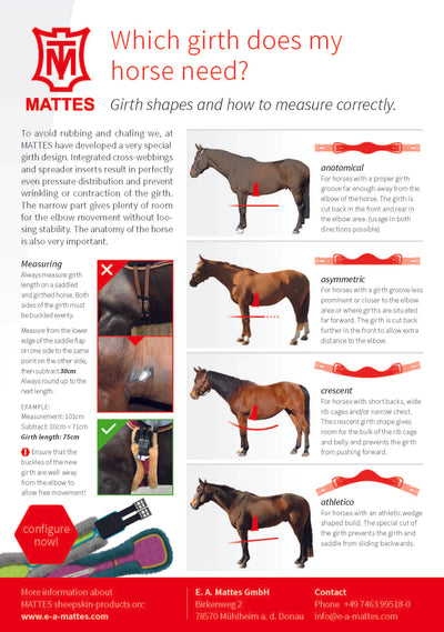 EA Mattes Special Short Girth - Crescent (Slimline leather base)