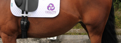 Cavaletti Collection leather dressage girth for horses-3